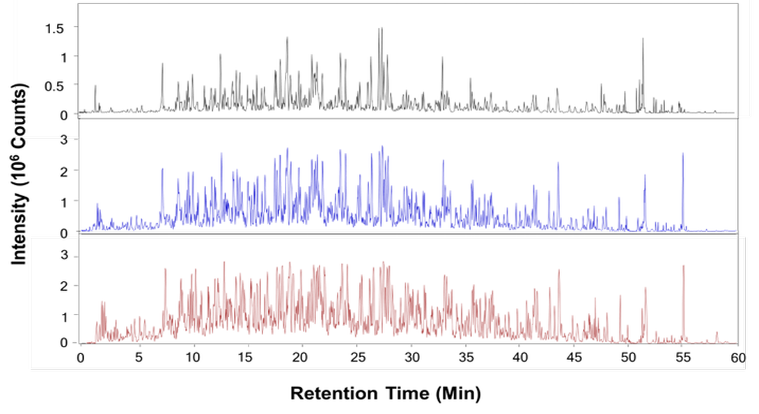 chromatogram, retention time in minutes on the x-axis and intensity on the y-axis